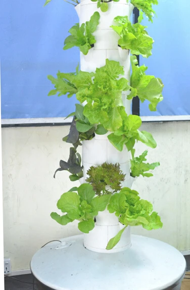 36 шт. центробежная распылительная система для выращивания|net cups|grow systemgrow aeroponics |