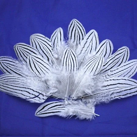 Белые серебряные перья фазана 100 шт. 6 8 см для оперения масок ювелирных изделий
