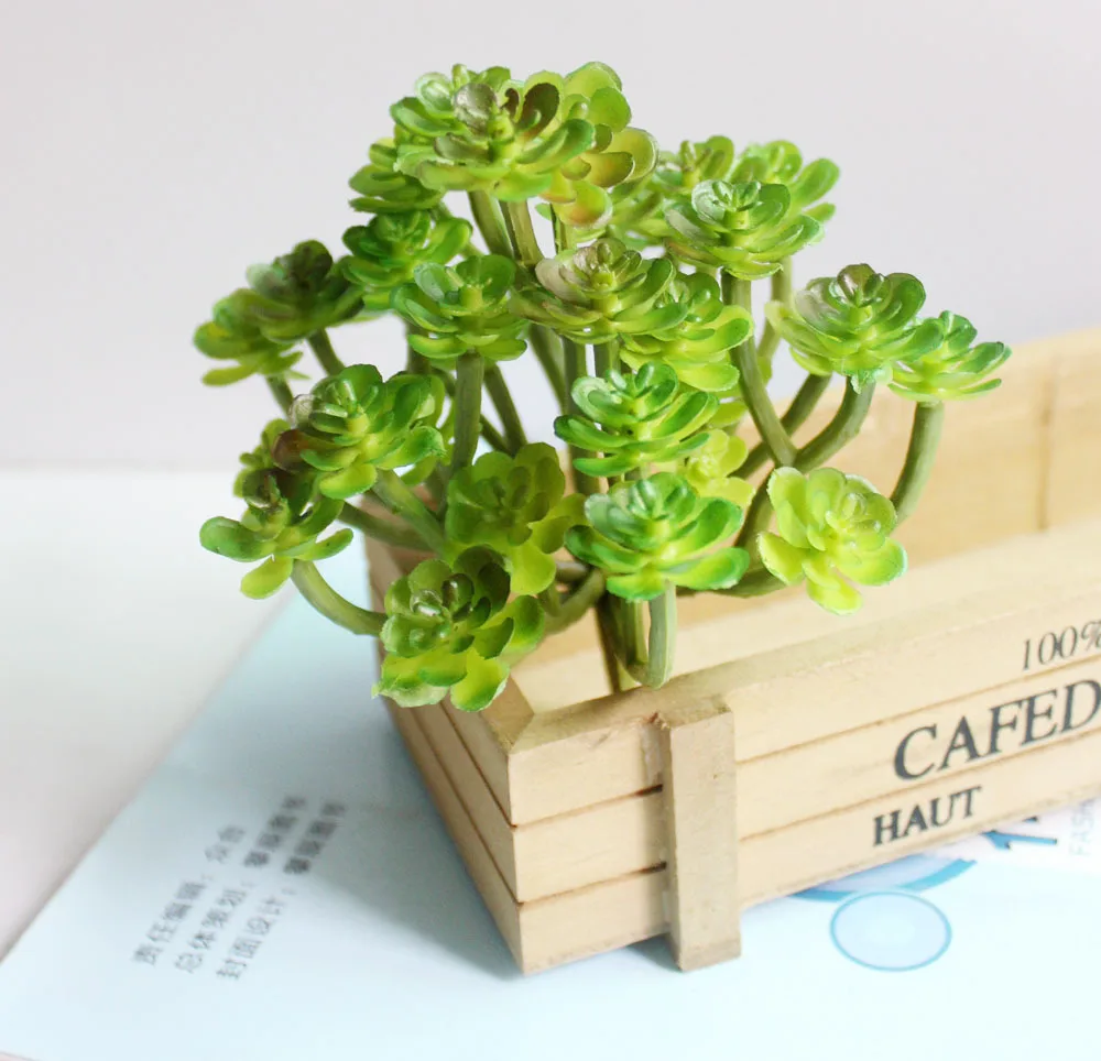 Зеленые цветы пластиковые искусственные суккуленты объемные стебли для продажи