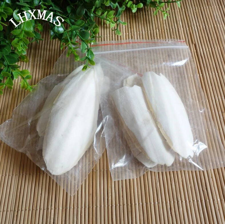 1 компл. Каракатицы Кости Для Пэт Волнистый Попугайчик Птицы Черепаха Питания