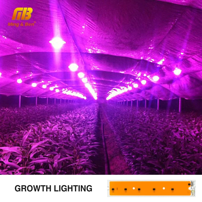 Светодиодный COB Чип огни полный спектр 50 W 220 V 240 Фито прожекторы йода лампы для