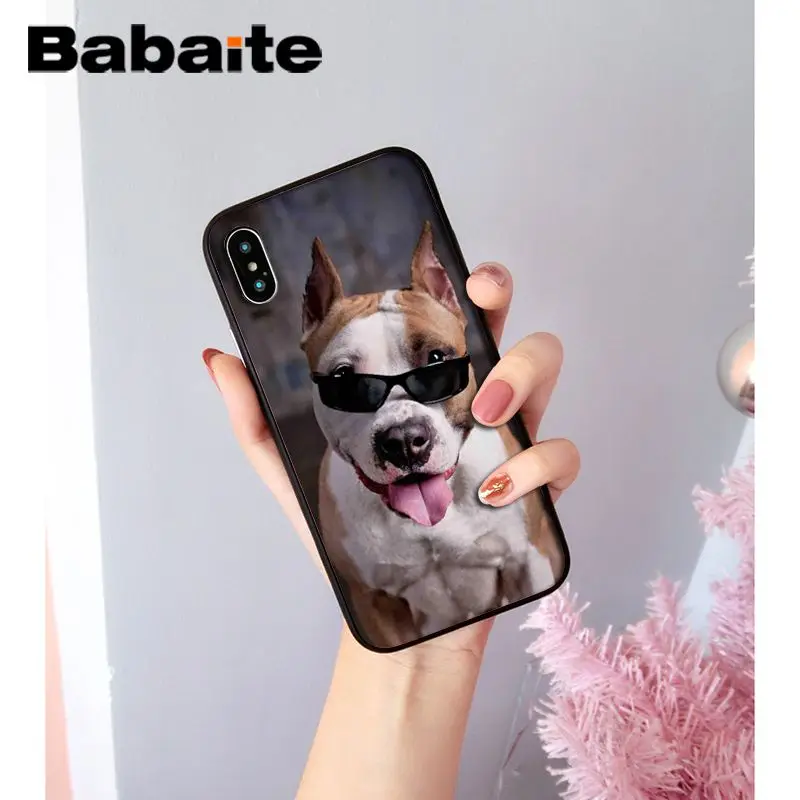 A5 Babaite прекрасный питомец питбуль Новинка чехол для телефона Fundas чехол для iPhone X XS MAX 6 6S 7 7plus 8 8Plus 5 5S XR чехол - Цвет: A5