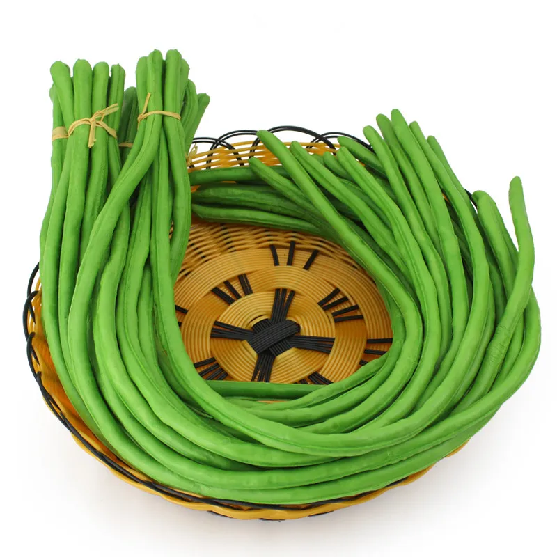 Искусственный длинный узор в виде фасоли модель украшения дома фотография шоу