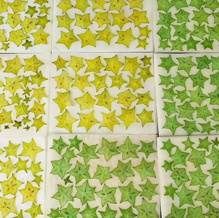 

5pcs Pressed Dried Carambola Slices Fruit Plant Herbarium For Jewelry Postcard Invitation Card Phone Case Bookmark Making DIY