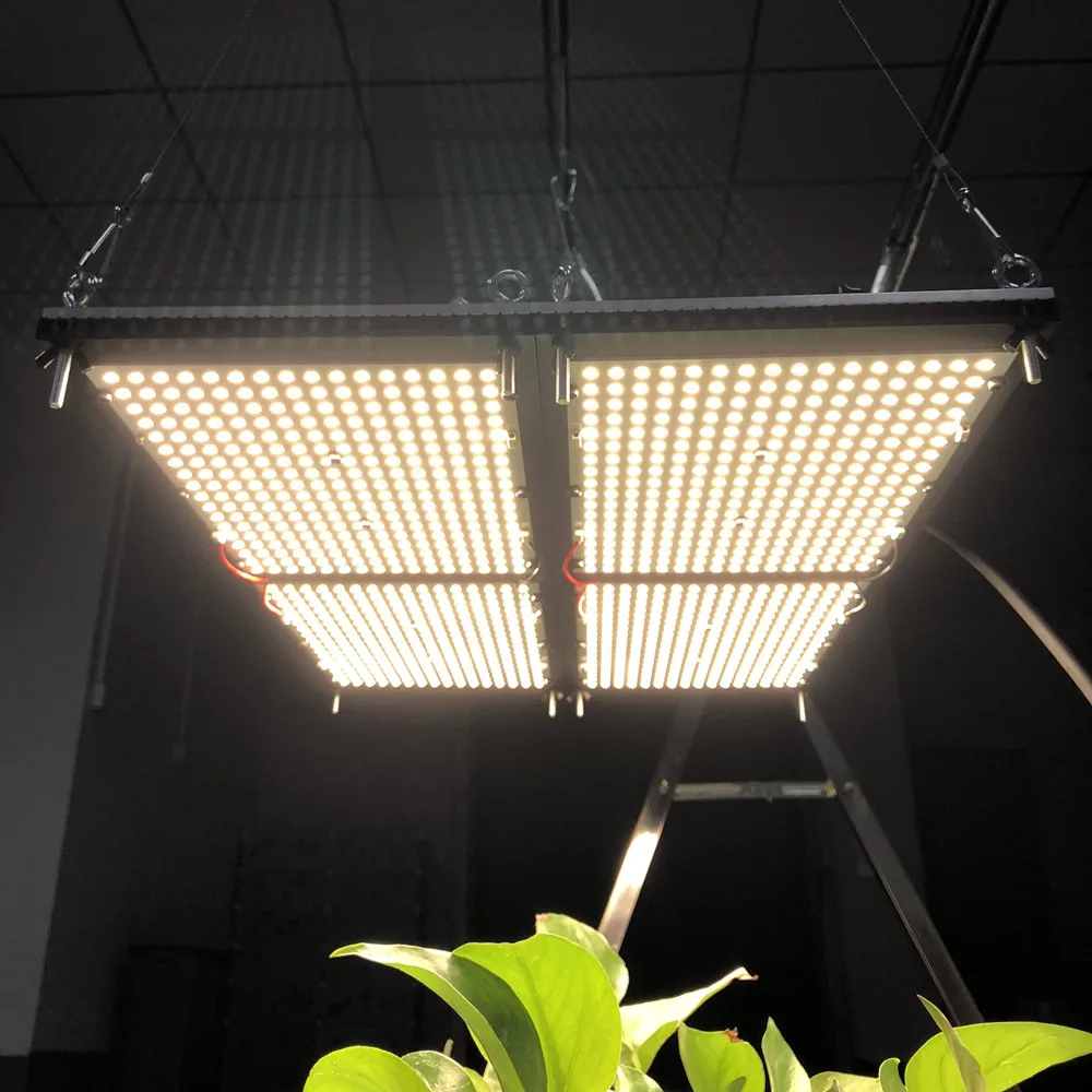 Figolite расти Quantum настольная Светодиодная лампа для выращивания светильник 480w 4xQB288 LM301B с 2 шт. Meanwell HLG-240H-48B