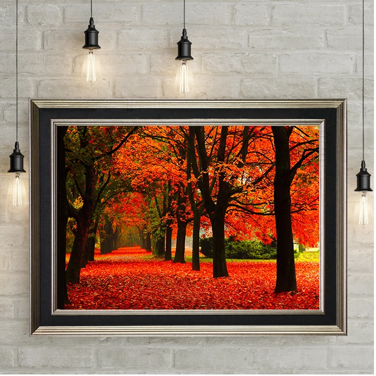 Инструмент Бесплатная фотография висячий набор 60 фунтов Предел 2 шт (1 упаковка)