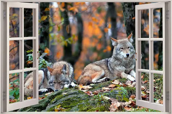 Бесплатная доставка волчье окно 3D Наклейка на стену искусство водонепроницаемые