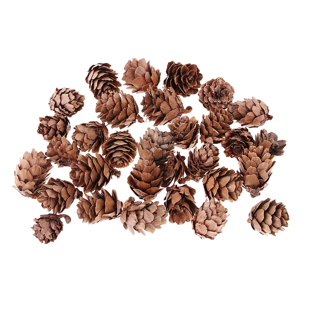 

30 Pieces Real Natural Small Pine Cones Decorative Pinecone Bauble Xmas Tree Party Hanging Ornament XMAS Decoration
