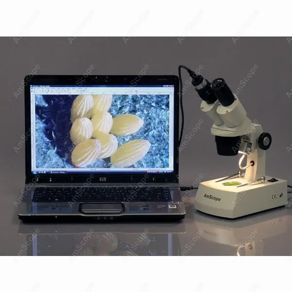 

Student School--AmScope Supplies 10X-20X-30X-60X Stereo Microscope with 1.3MP USB Camera