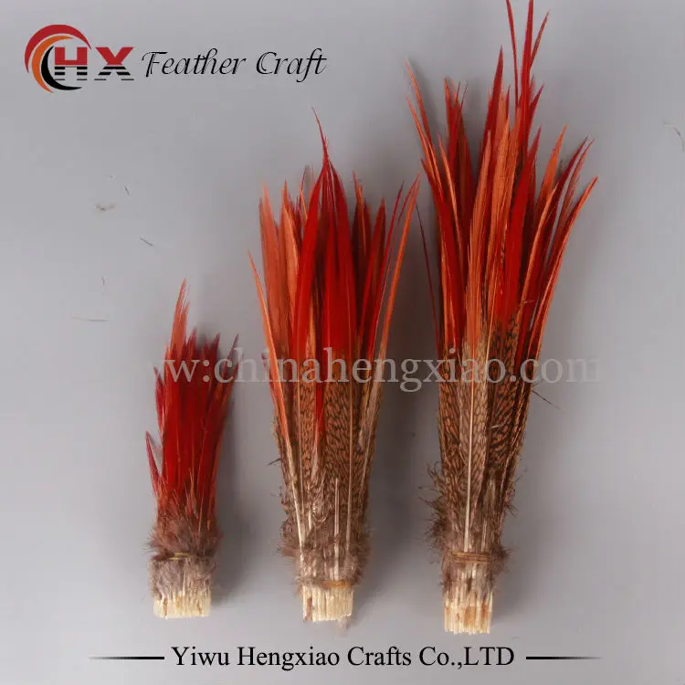 10 шт. натуральные перья фазана 5 размеров|lady amherst|feather plumeslady amherst pheasant |