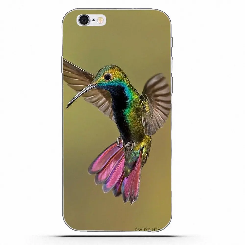 Weexoeq Колибри с любовью для Apple iPhone 4 5 5C 6 6S 7 8 Plus X мягкие узоры | Мобильные телефоны и