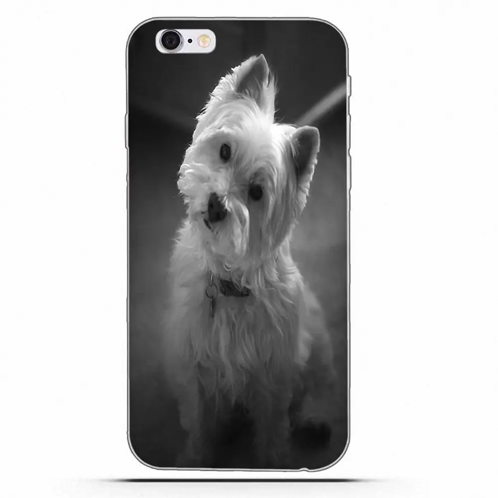 West Highland Terrier Westie Dog Puppy Мягкая коробка для звонков Galaxy Alpha Core Prime Note 4 5 8 S3 S4 S5 S6 S7 S8 S9 mini