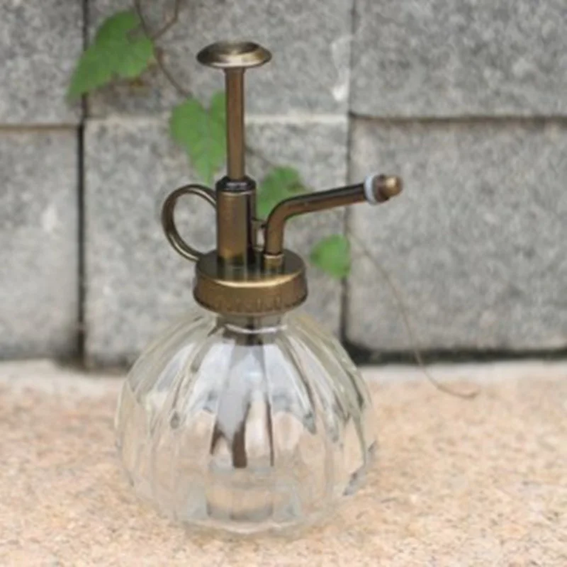 Красивая маленькая винтажная кастрюля для полива очень подходит суккулентов