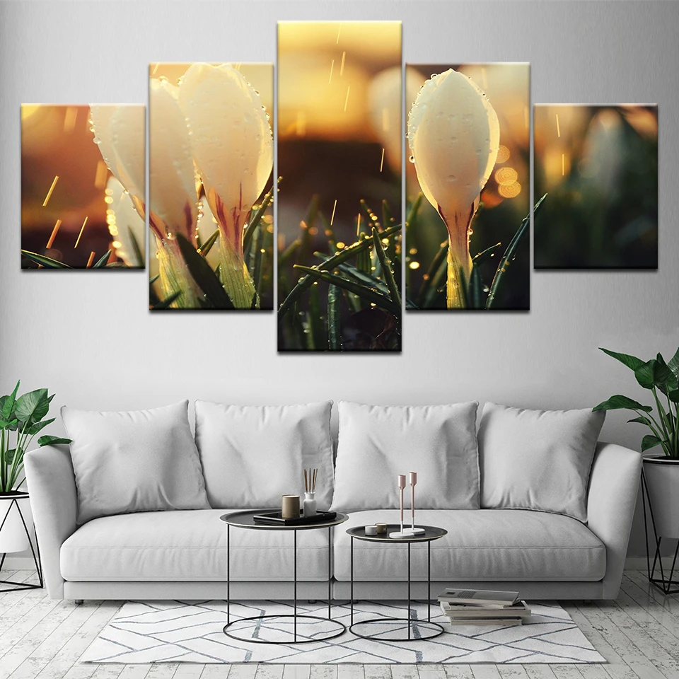 Прозрачный цветок с дождем Солнечный свет 5 шт HD обои искусство холст печать