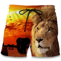 summer men shorts 2017 3d animal lionhead print beach fitness trousers fashion mens bermuda boardshorts clothing plus size 6xl
