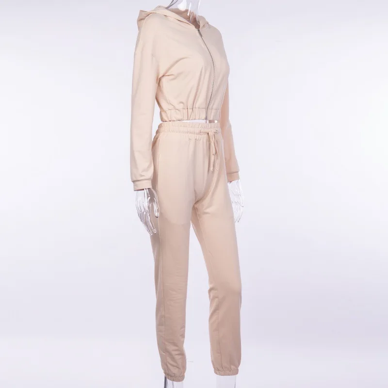 Genayooa Casual Women Two Piece Outfits Short Hoodies Women Zip Tracksuit Women 2 Piece Set Lace Up High Waist Loose Pants