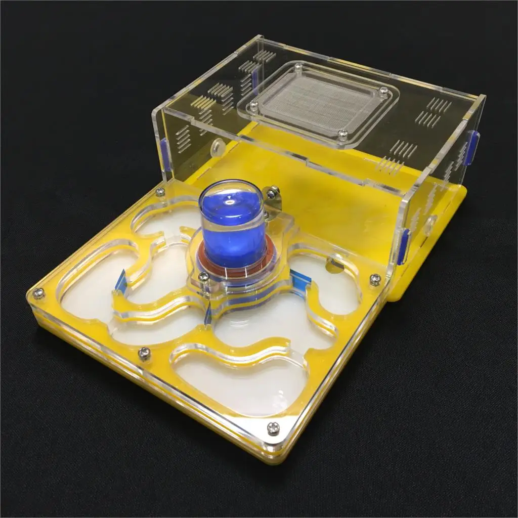 

ant-grape L size plane moisture with feeding area ant nest,ant farm acrylic,insect ant villa pet advanced mania for house ants