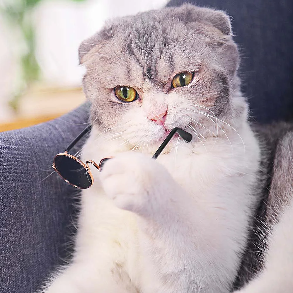 HOOPET Pet Солнцезащитные очки Маленькая плюшевая собака круглые кошки Для Игры