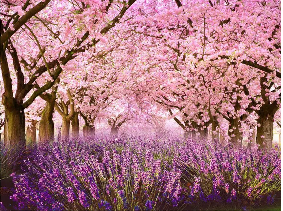 3d обои на заказ домашнее украшение 3D Вишневый цвет лавандовый фон Настенные для