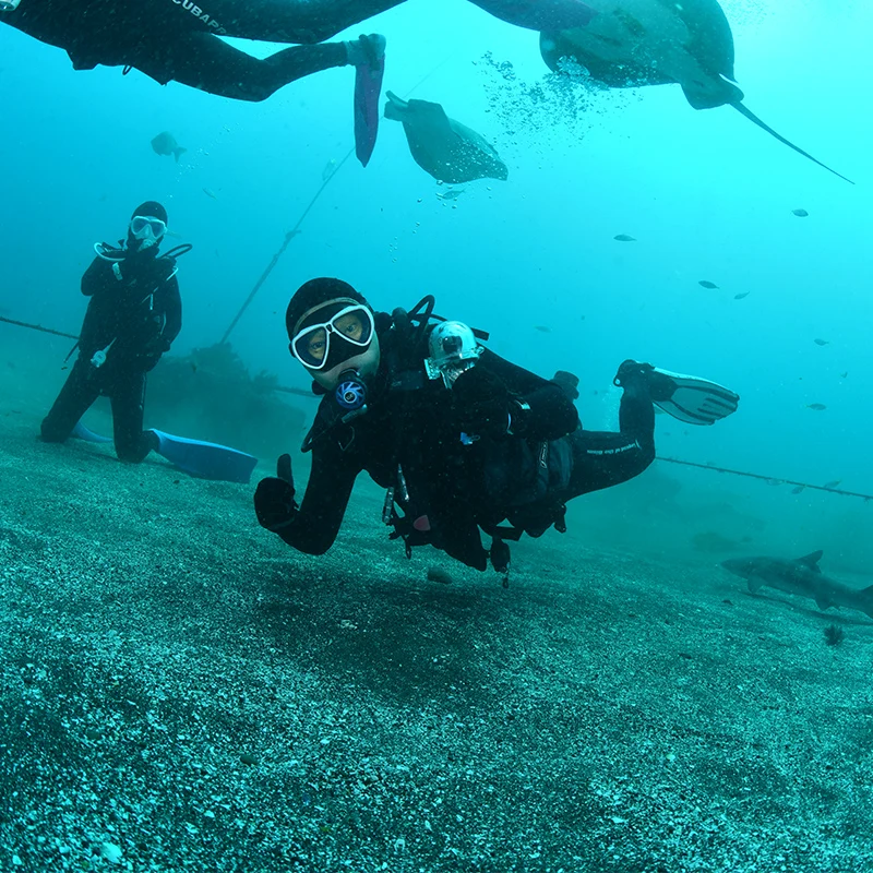 Водонепроницаемый чехол для подводного погружения до 60 м DJI OSMO Pocket / 2|Аксессуары