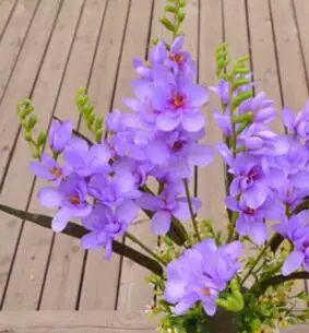 purple 002 18 шт. в партии, цветок фрезии, искусственная Орхидея, одностворчатый, для свадьбы, центральные, цветочные композиции, искусственные декоративные цветы - Цвет: purple 002