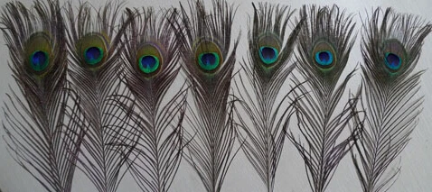 10 шт. модные свадебные подарки с натуральным павлином перьями хвостыми глазами