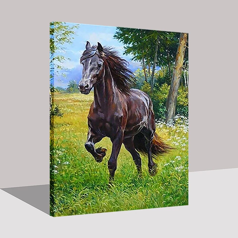 DIY Painting By Numbers Kits Drawing Animals Hand Paint Home Decor Black Horse Oil Pictures Abstract Canvas Wall Art Unique Gift | Дом и сад