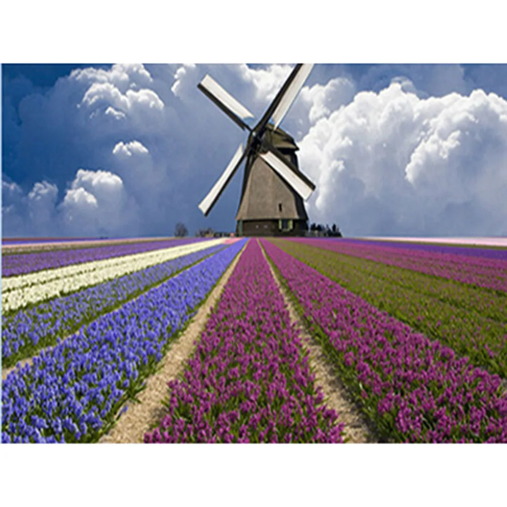 100% полная квадратная/круглая алмазная живопись 5D своими руками Вышивка крестом