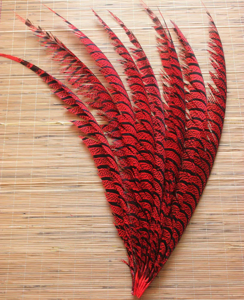 

5pcs red color dyed long lady amherst pheasant tails Feather 80-90cm/30-35inch Ringneck zebra shape pheasant feathers