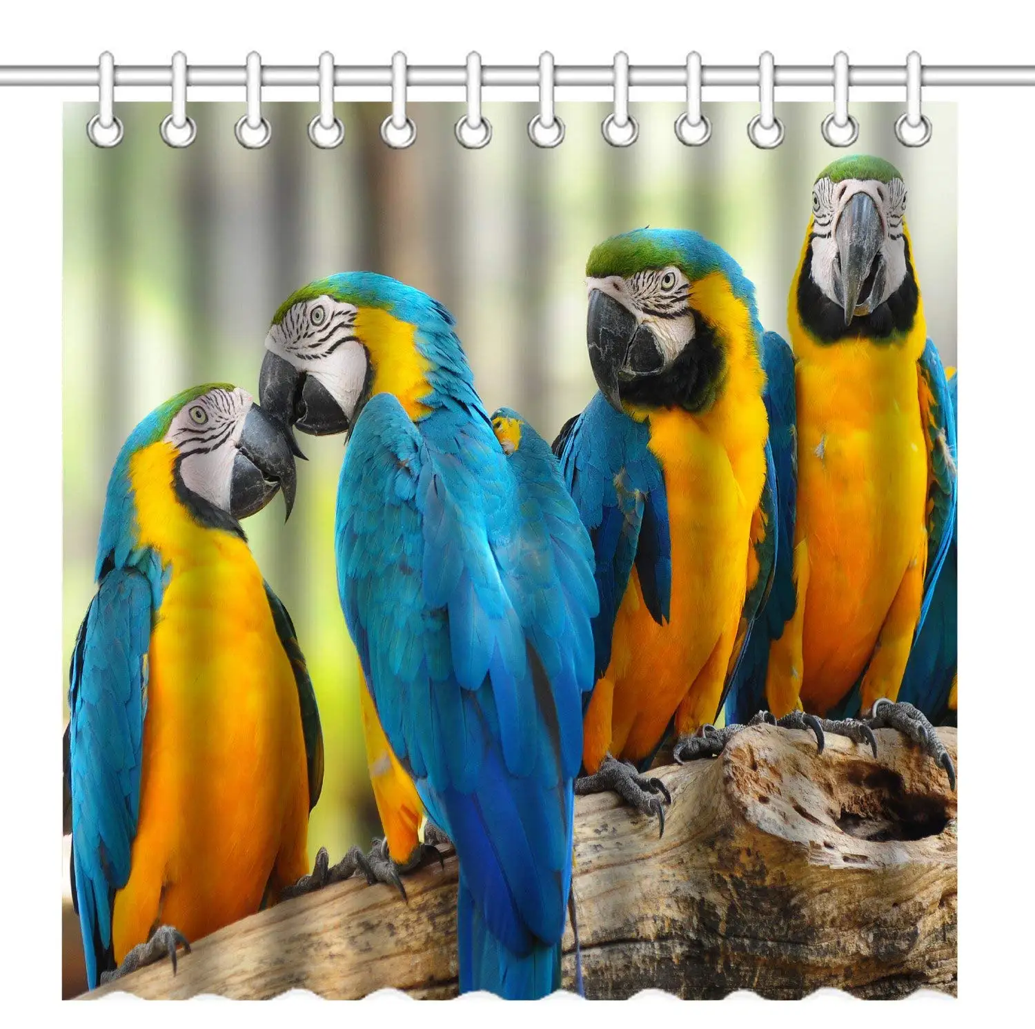 

Colorful Nature Animal Sweet Pets Cute Blue and Yellow Macaws Parrots Birds Waterproof Polyester Fabric Shower Curtain