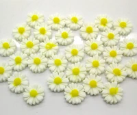50pcs kawaii white resin flower beads decoration crafts flatback cabochon scrapbooking fit phone embellishments diy accessories