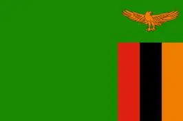 

Zambia Flags Wholesale Lot of 10 PCS National Polyester Banner150* 90cm 3ft x 5ft All over the world outdoor