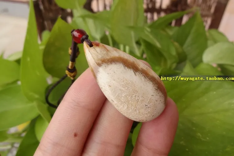 Тайвань природные органические gem коралловые ископаемых дейзи нефрита кулон /