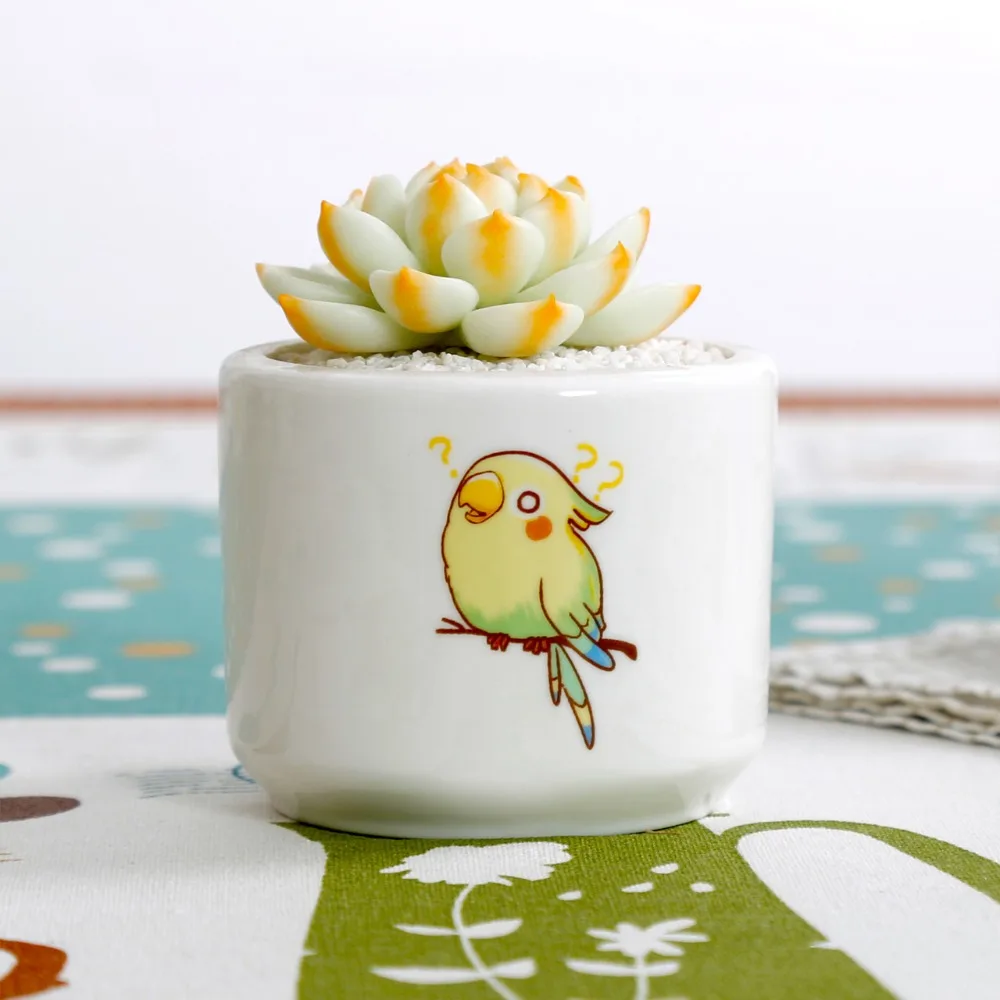 Мини кактус суккулент керамический круглый Милый Попугай белый цветочный горшок