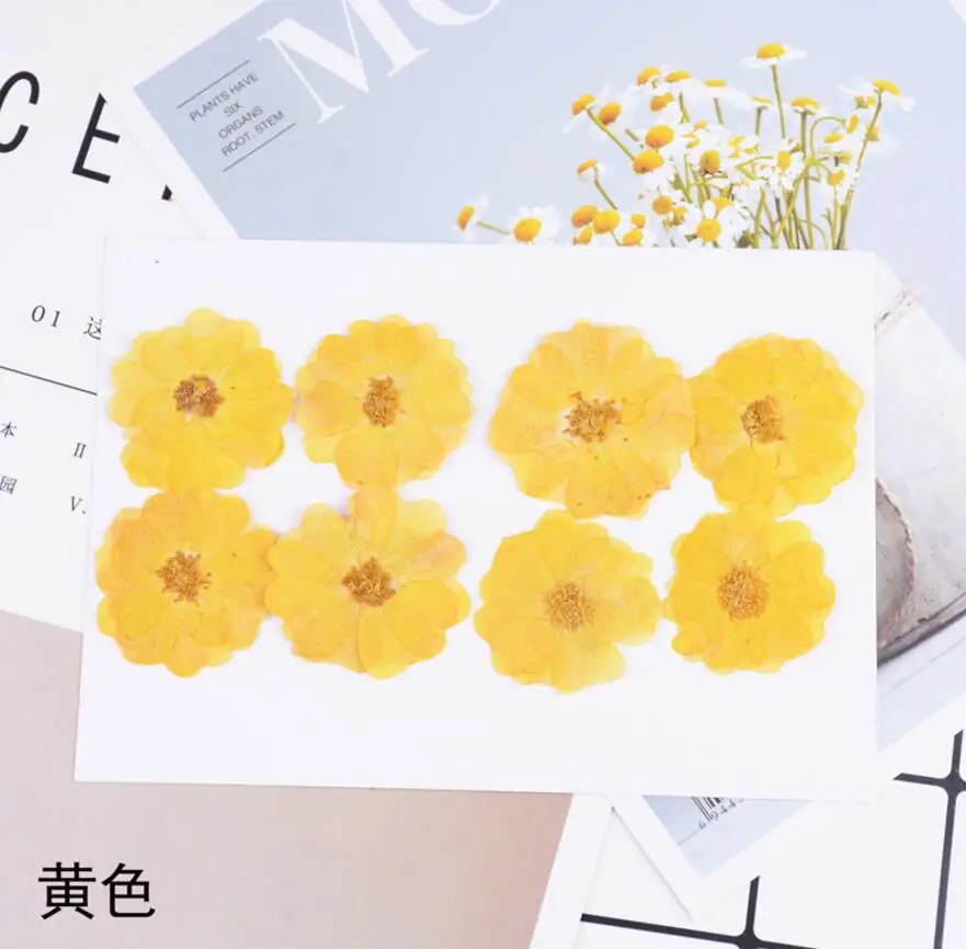 

120pcs Pressed Dried Flower Chinese Rose Filler For Epoxy Resin Jewelry Making Postcard Frame Phone Case Craft DIY