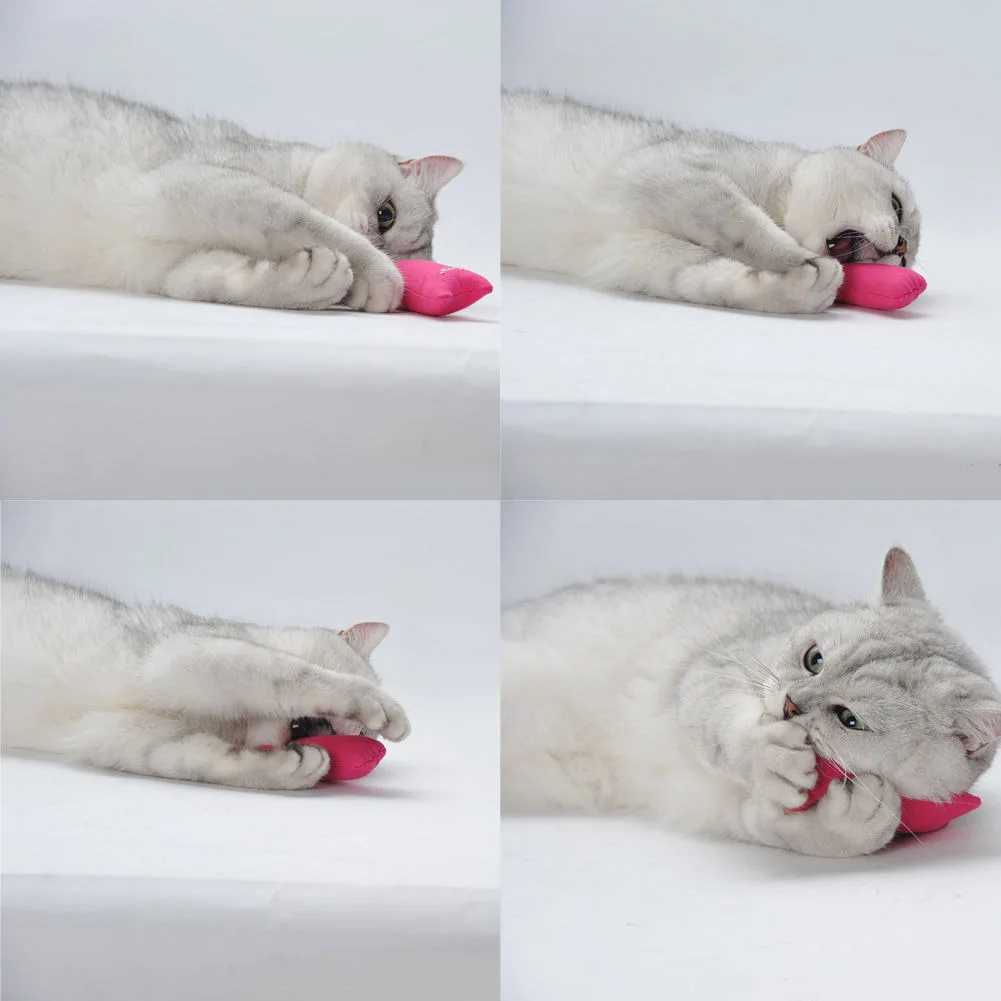 Игрушки С Кошачьей Мятой для шлифовки зубов забавная модель игрушка кошек