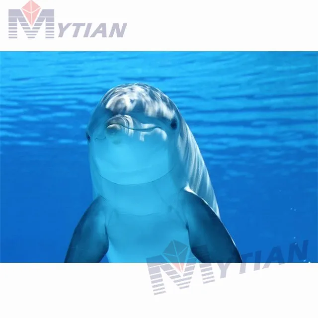 

5D «сделай сам», квадратная круглая алмазная живопись, вышивка крестиком, дельфин под водой Стразы, алмазная вышивка, мозаика, домашний декор