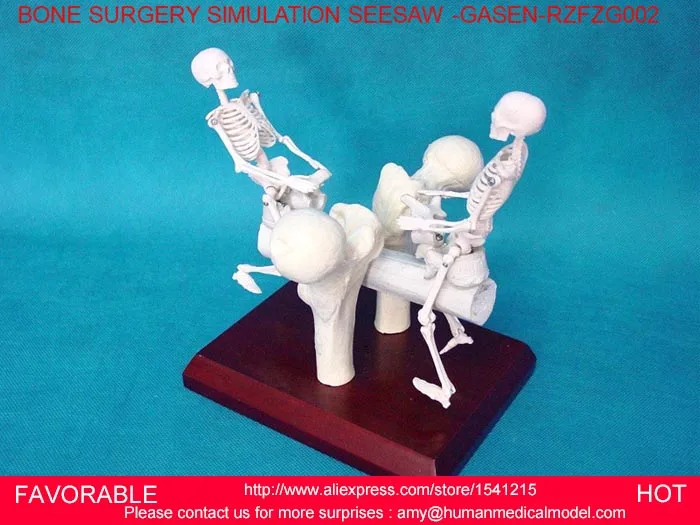 Анатомическая анатомическая каркасная медицинская модель человека скелета