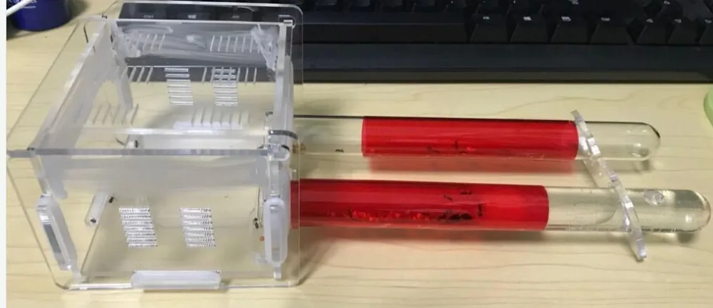 Акриловые муравьиные домики 2 стеклянных трубки Муравьиное гнездо экологичные