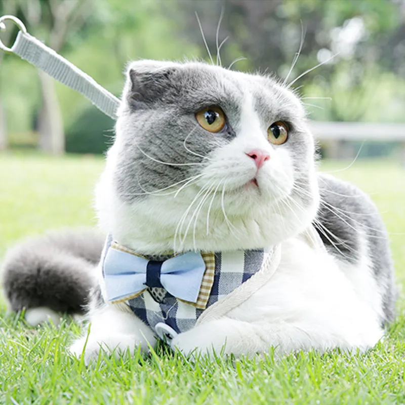 Cats Harness British Grid Tie Adjustable with Leash for Outdoor Dropshipping | Дом и сад