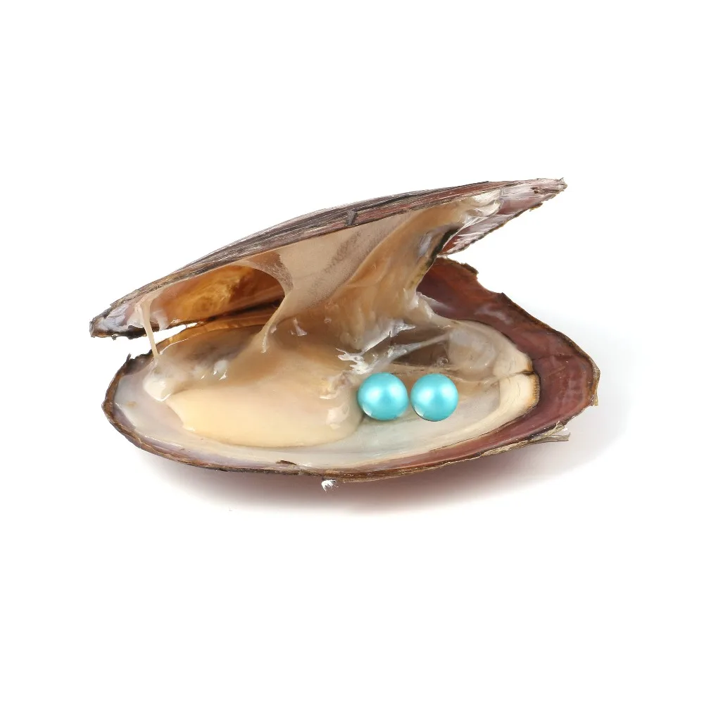 Pearl Oyster Freshwater Cultured Love Wish with 7-8mm Round Pearls Inside Random Color | Украшения и аксессуары