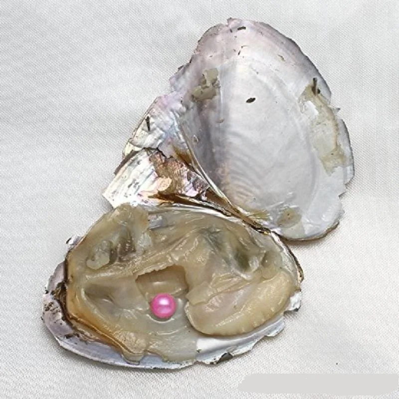 Круглые жемчужины Oyster новинка 2019 6 8 мм смешанные цвета натуральный жемчуг для