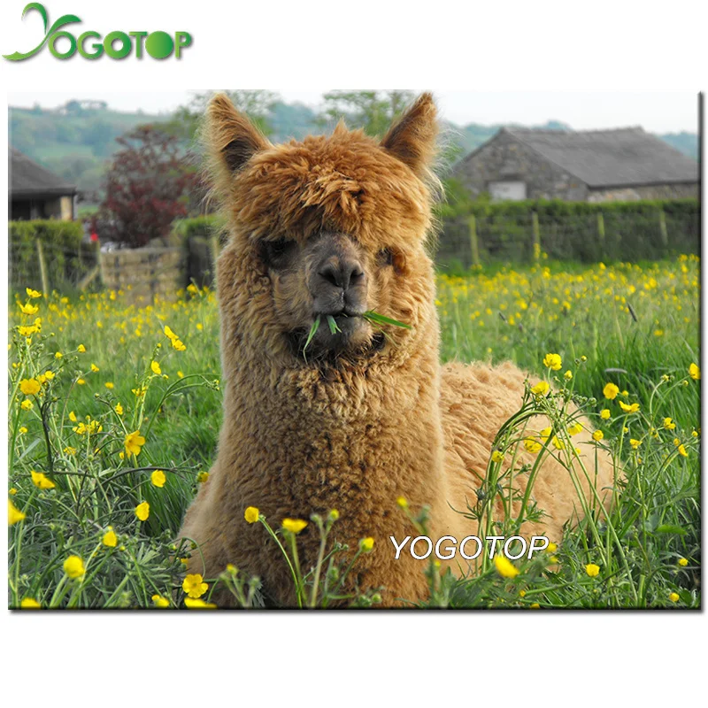 5D DIY diamond embroidery Australia Alpaca daimond painting Cross Stitch full Rhinestone mosaic stickers wall YY1074 | Дом и сад