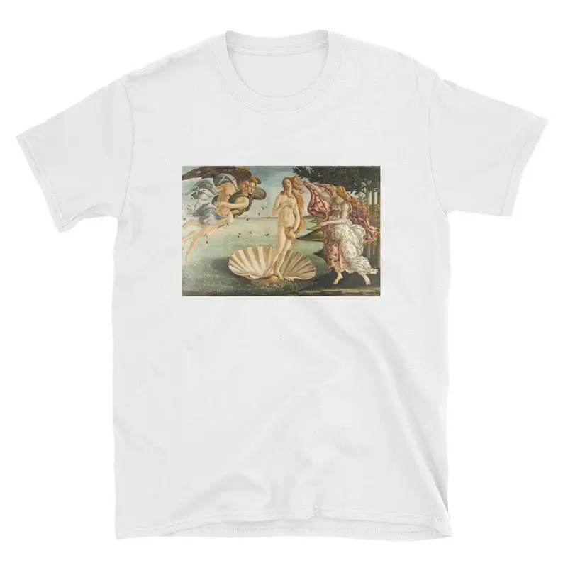 The Birth Of Venus женская футболка хлопок Повседневная забавная Футболка Леди Йонг Девушка Топ тройник Прямая поставка S-526 - Цвет: Белый