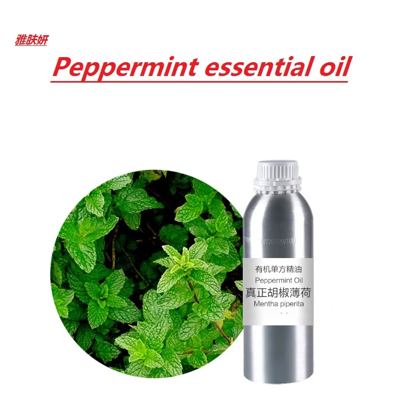 

massage oil 10g/ml/bottle Peppermint Essential Oil base oil, organic cold pressed vegetable oil plant oil free shipping