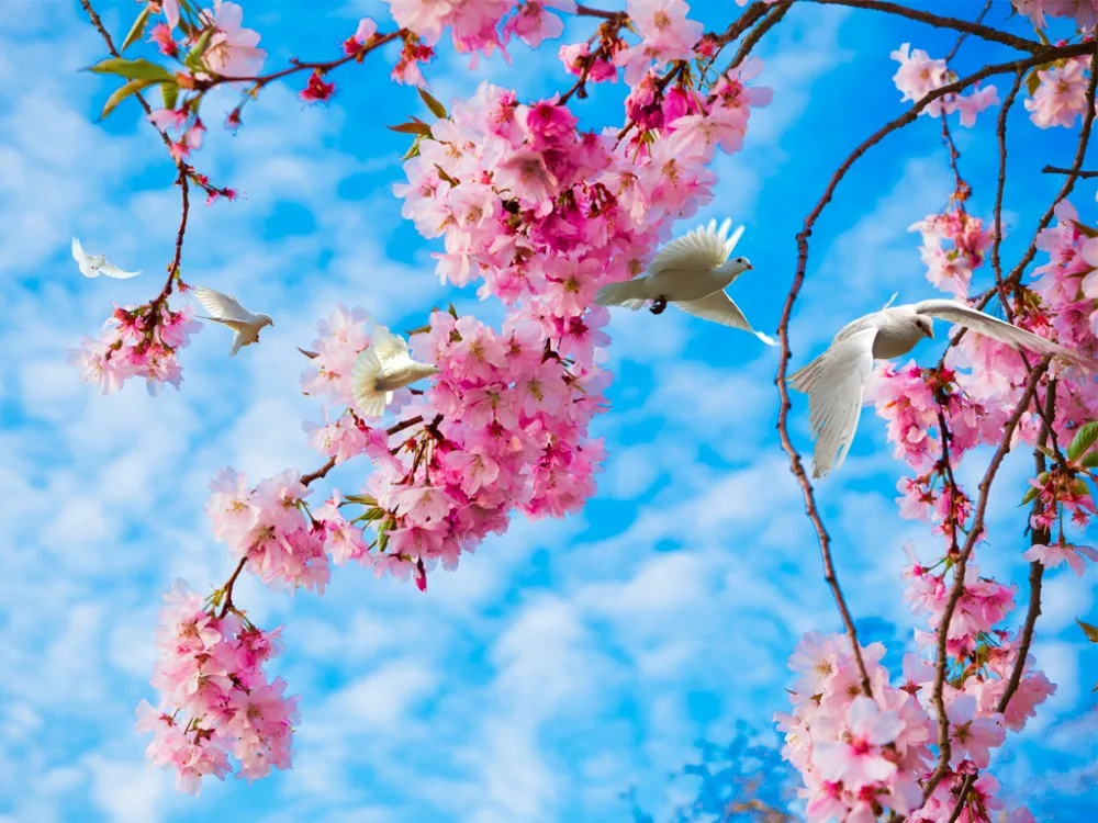 Пользовательские 3d шторы белые цветочные ветки занавески окна гостиной спальни