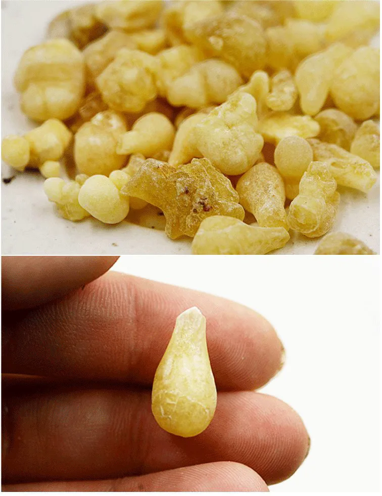 Франк ладан Boswellia Carterii Копченый ладан Lu хвостик ладан Moeller благовония китайская травяная медицина Q