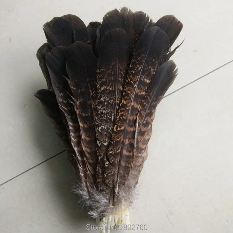 10 шт. французские перья для хвоста индейки 6 8 дюймов/15 20 см|turkey tail feathers|tail feathersfeather