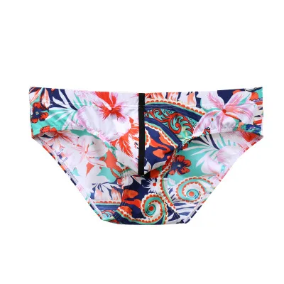 2019 gay Underwear men low waist nylon ice silk printed breathable briefs fashion sexy bulge jockstrap |