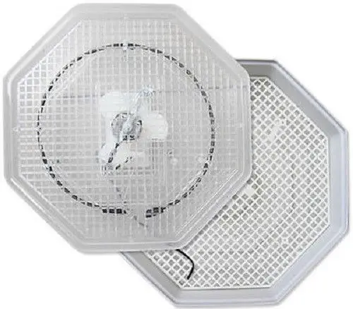 Мини промышленный инкубатор Интимные аксессуары цифровой Температура и